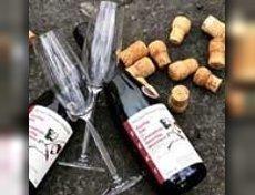 Weingut Ockenfels | © ©Weingut Ockenfels