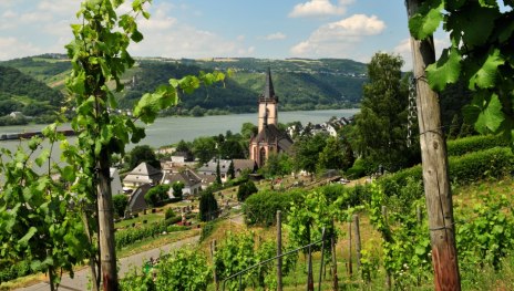 Blick auf Lorch | &copy; Robert Carrera, WIESBADEN RHEINGAU