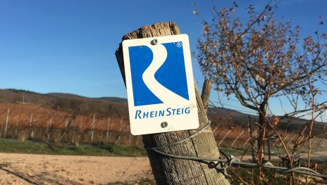 rheinsteigschild1 | © Weingut Nies