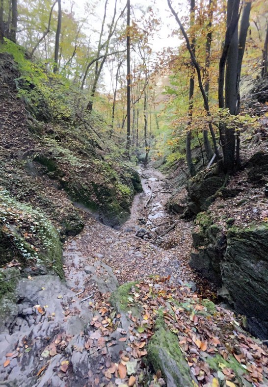 Ruppertsklamm Lahnstein 2 | &copy; Stadt Lahnstein
