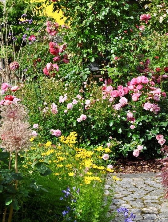 Blütenmeer im Hausgarten Feuerpfeil | © Zweckverband Welterbe Oberes Mittelrheintal Blütenmeer im Hausgarten Feuerpfeil | © Zweckverband Welterbe Oberes Mittelrheintal