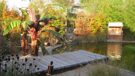 Modernes Design | © Gärtnerei Degen Modernes Design | © Gärtnerei Degen