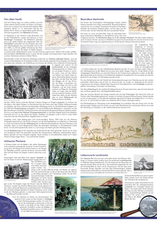 Infotafel über den Weinbau | © J. Gödert Infotafel über den Weinbau | © J. Gödert