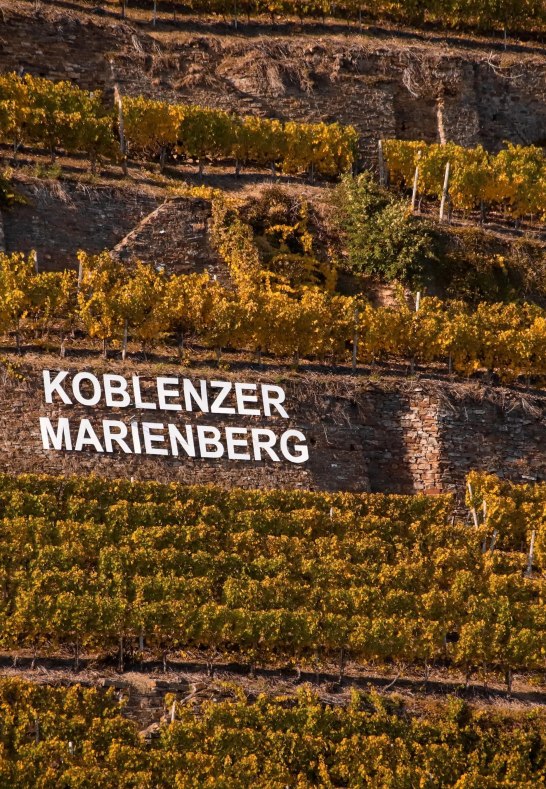 Koblenzer Marienberg | &copy; Weingut Schwaab