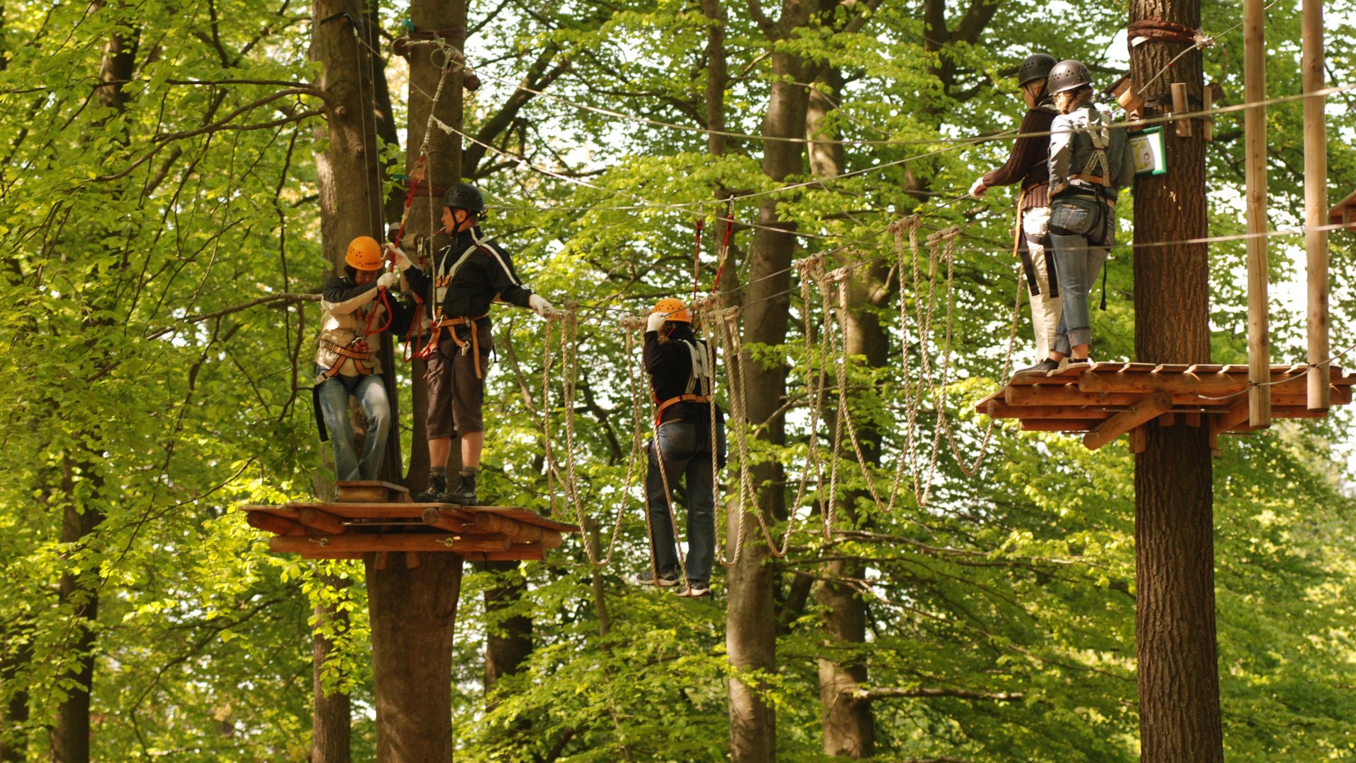 Kletterwald Lauschhütte | © Protime GmbH