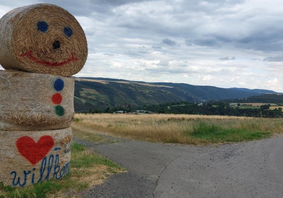 Radweg am Heum&auml;nnchen | &copy; T. Biersch