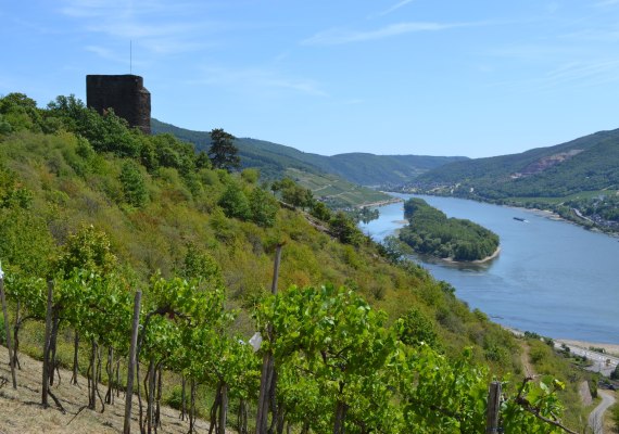 Nollig mit Aussicht | &copy; Rheingau Taunus Kultur und Tourismus