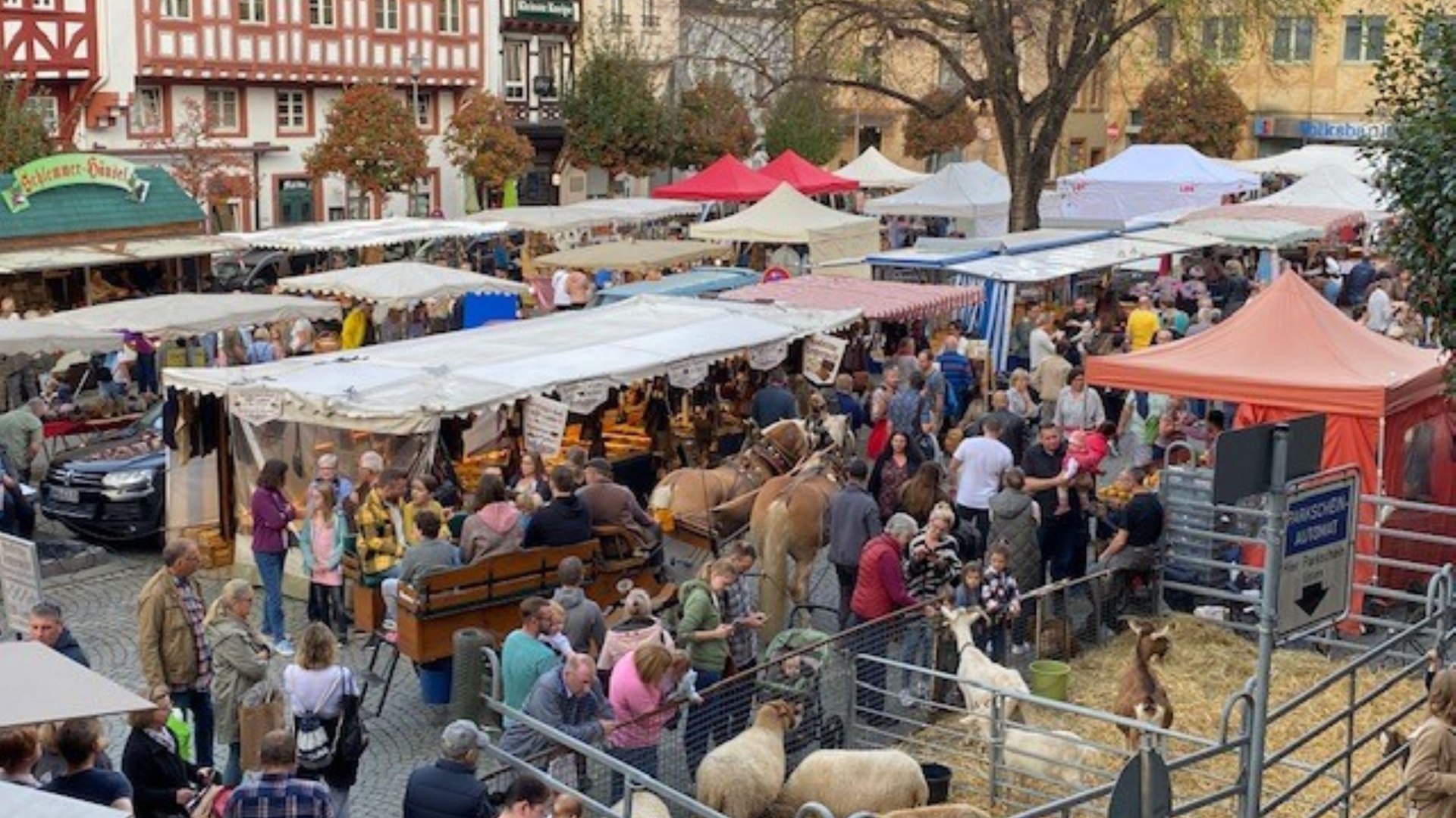 Bauernmarkt | &copy; Petra Winkler