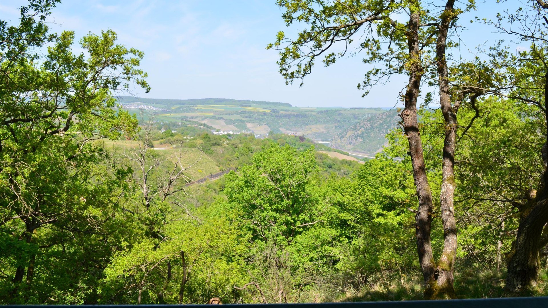 Hinnerbeil | &copy; Tourist-Information Oberwesel