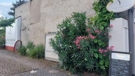 Weinstube Wingertsknorze | © RTKT