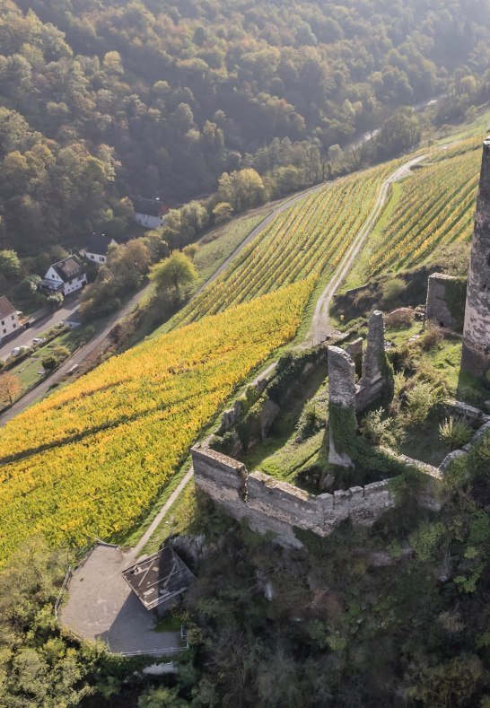 F&uuml;rstenberg inmitten der Weinberge | &copy; Andreas Pacek, fototour-deutschland.de