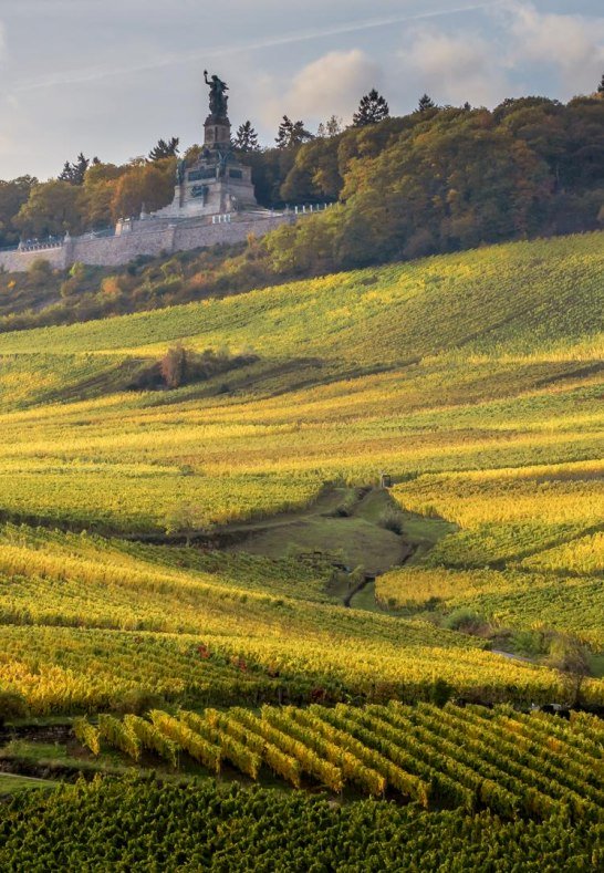 Wandbilder GK  (4) | &copy; Thomas Weinsheimer