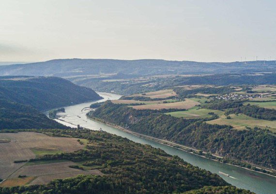 Fetz1 | &copy; Fetz &ndash; Weingut & Destillerie