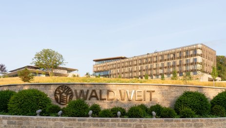 WALD.WEIT-4 | © Tim Karapetian WALD.WEIT-4 | © Tim Karapetian