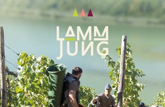 Weingut Lamm- Jung* | &copy; Weingut Lamm- Jung