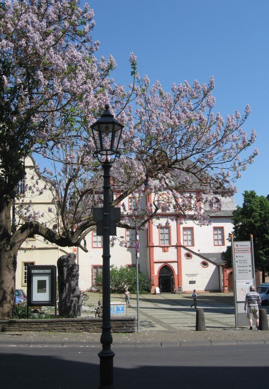 Florinsmarkt | © Koblenz Touristik GmbH Florinsmarkt | © Koblenz Touristik GmbH