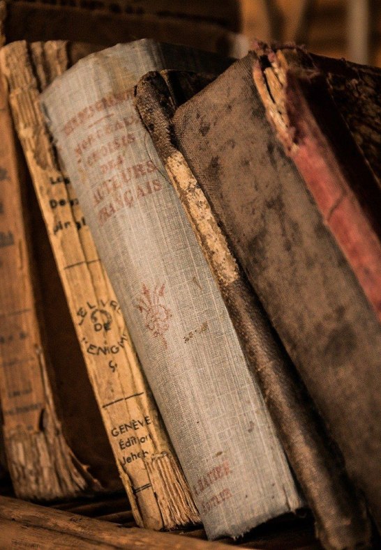 Alte B&uuml;cher | &copy; Michal Jarmoluk auf Pixabay