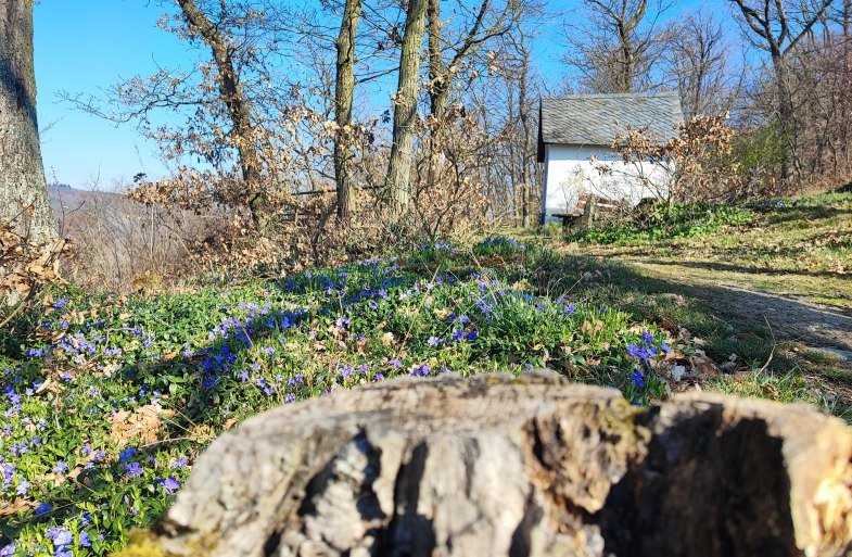 Kapelle | &copy; Ulrike Dallmann