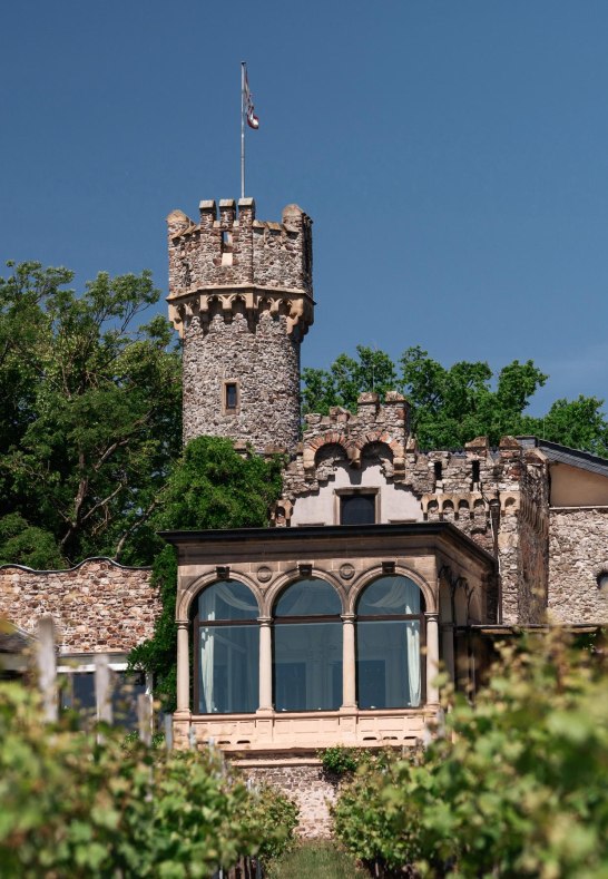 Blick aus den Weinbergen | &copy; Tony Gigov