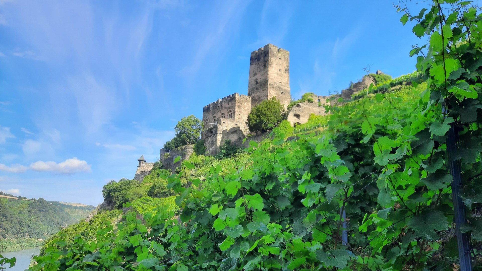 Burg Gutenfels | © Peter Bahles Burg Gutenfels | © Peter Bahles