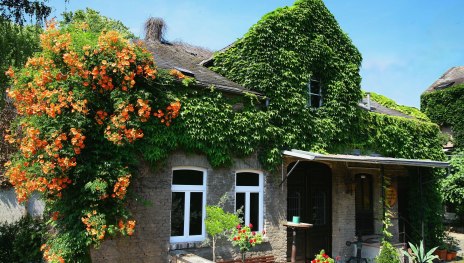 Weingut Dr. Nägler CC by Nägler | © Weingut Dr. Nägler CC by Nägler