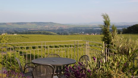 Weingut Freimuth | &copy; Weingut Freimuth