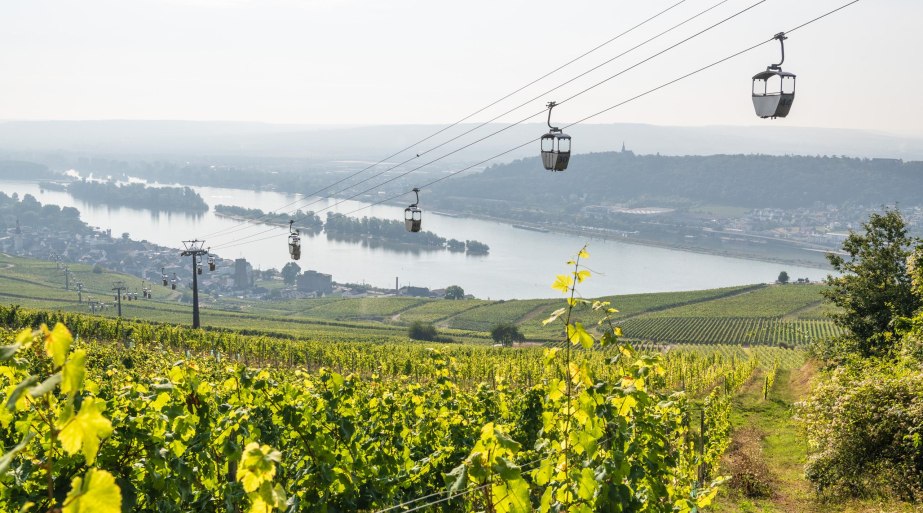 Seilbahn in Rüdesheim | © Dominik Ketz / Bingen Tourismus & Kongress GmbH Seilbahn in Rüdesheim | © Dominik Ketz / Bingen Tourismus & Kongress GmbH