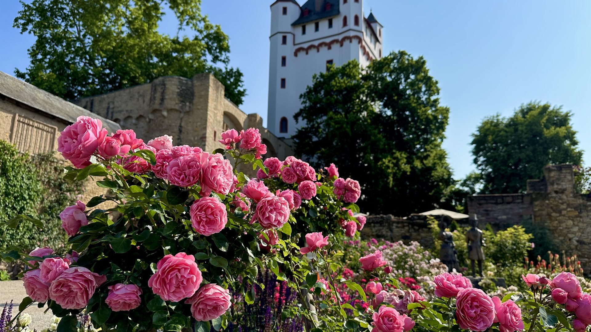 Kurf&uuml;stliche Burg Rosen | &copy; Stadt Eltville am Rhein