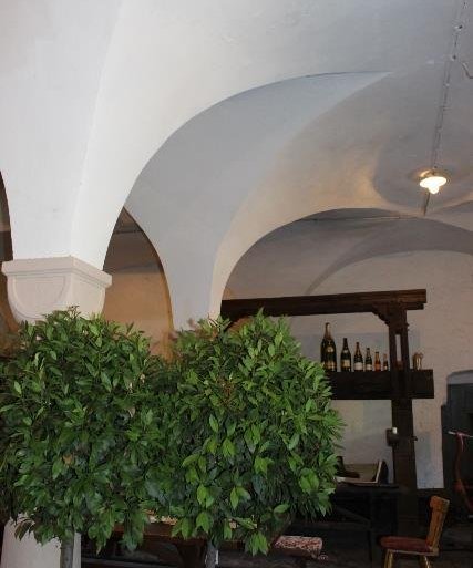 Weingew&ouml;lbe Gr&uuml;newald | &copy; Isabella Heider