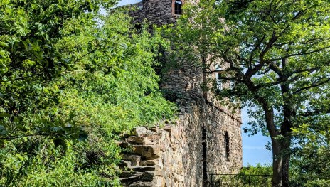 Weinwanderung2 | © Dr. Marco Hoyer