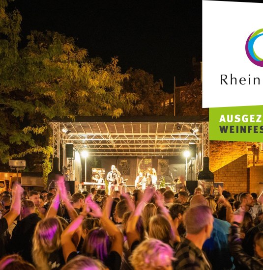 Binger Winzerfest AUSGEZEICHNET | &copy; Rheinhessenwein e.V.