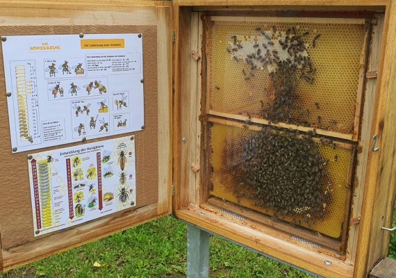 Imkerei Schneider | © Stefanie Schneider Imkerei Schneider | © Stefanie Schneider