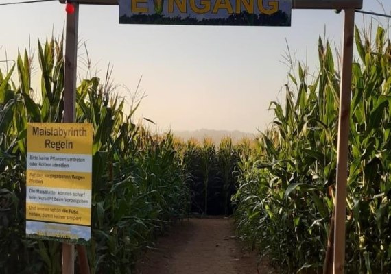 Maislayrinth 2 | © Mareike Heckel