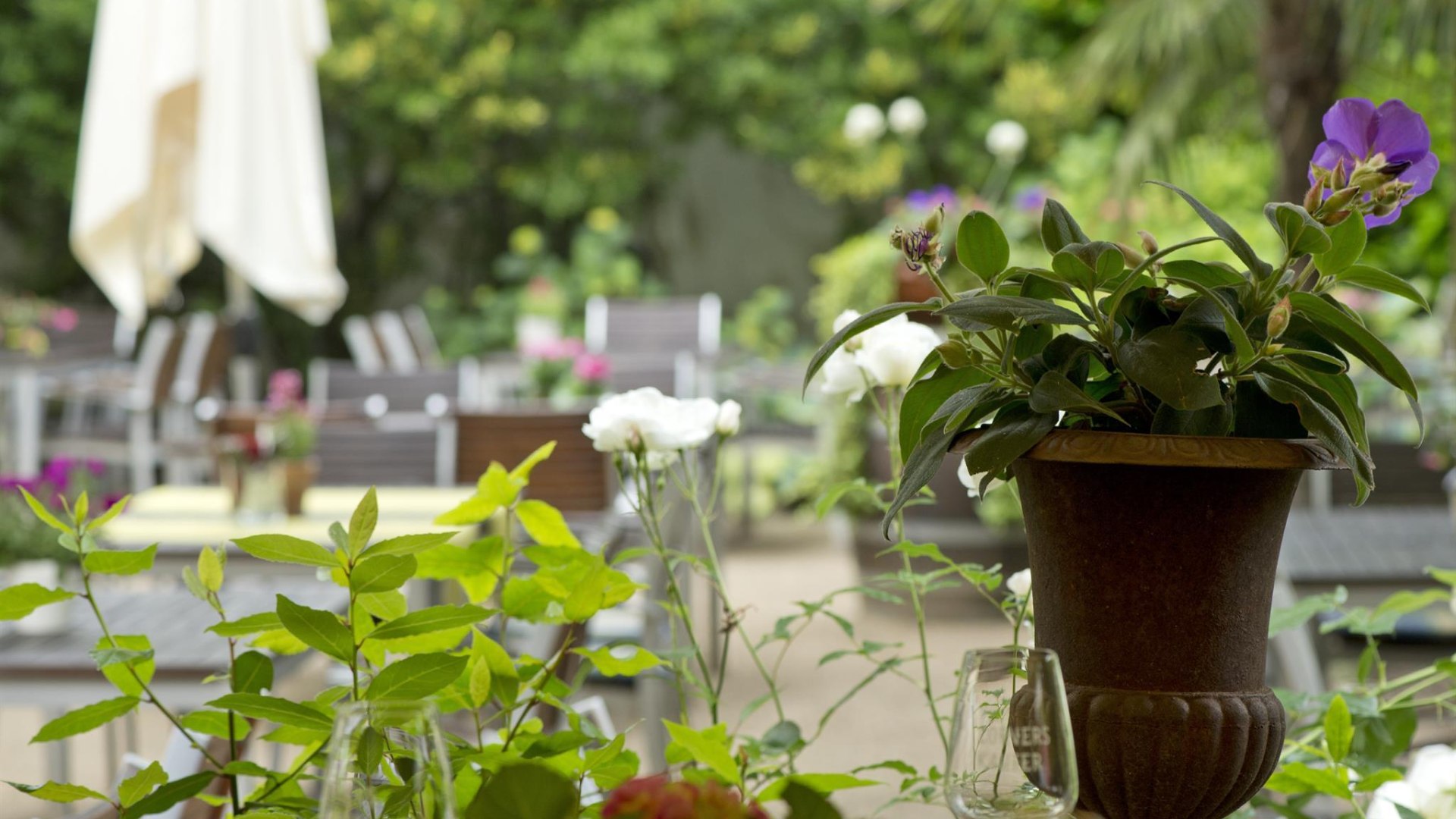 Terasse Weingut | © Weingut Corvers-Kauter Terasse Weingut | © Weingut Corvers-Kauter