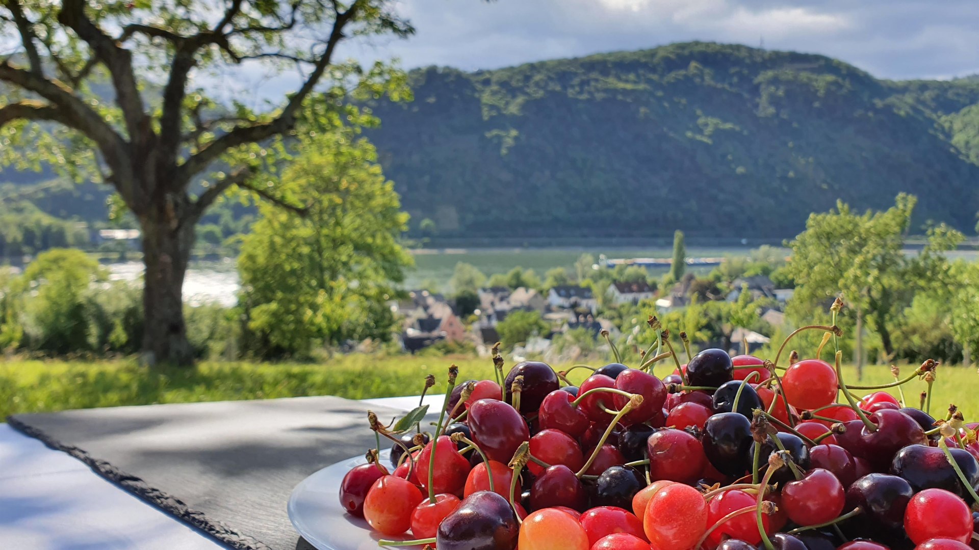 Mittelrheinkirsche | © Frank Boewingloh
