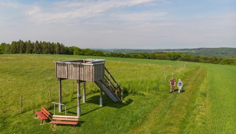 Aussichtskanzel bei R&uuml;scheid | &copy; Andreas Pacek , Touristik-Verband Wiedtal e.V.