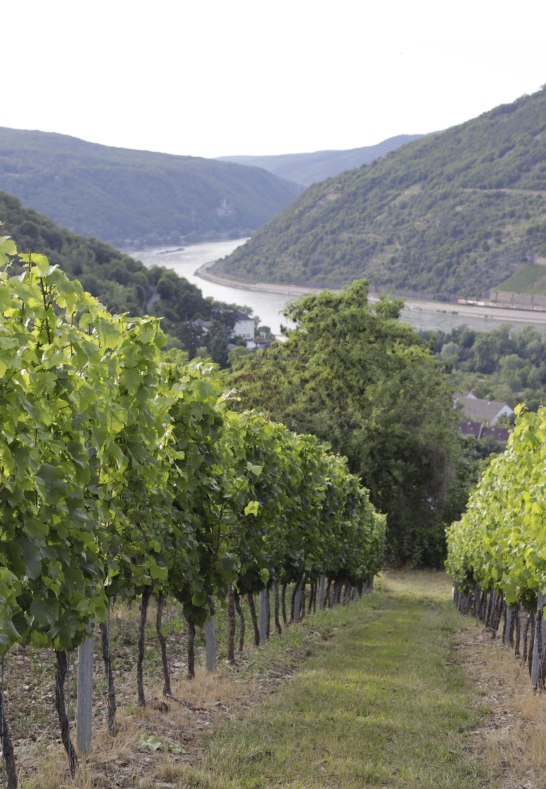 Weiler | &copy; Schniering