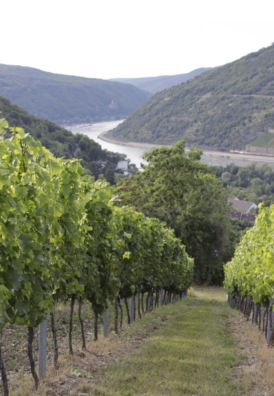 Weiler | &copy; Schniering