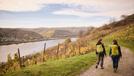 Durch die Weinberge | &copy; Marco Rothbrust, Mittelrhein