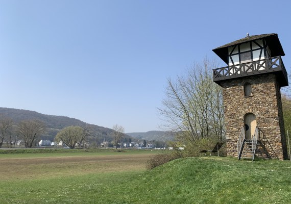 Beginn des Limes | &copy; Kevin Kalfels/Romantischer Rhein Tourismus GmbH