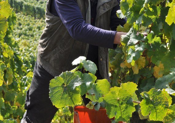 DSC_0378 | © Lorenz DSC_0378 | © Lorenz