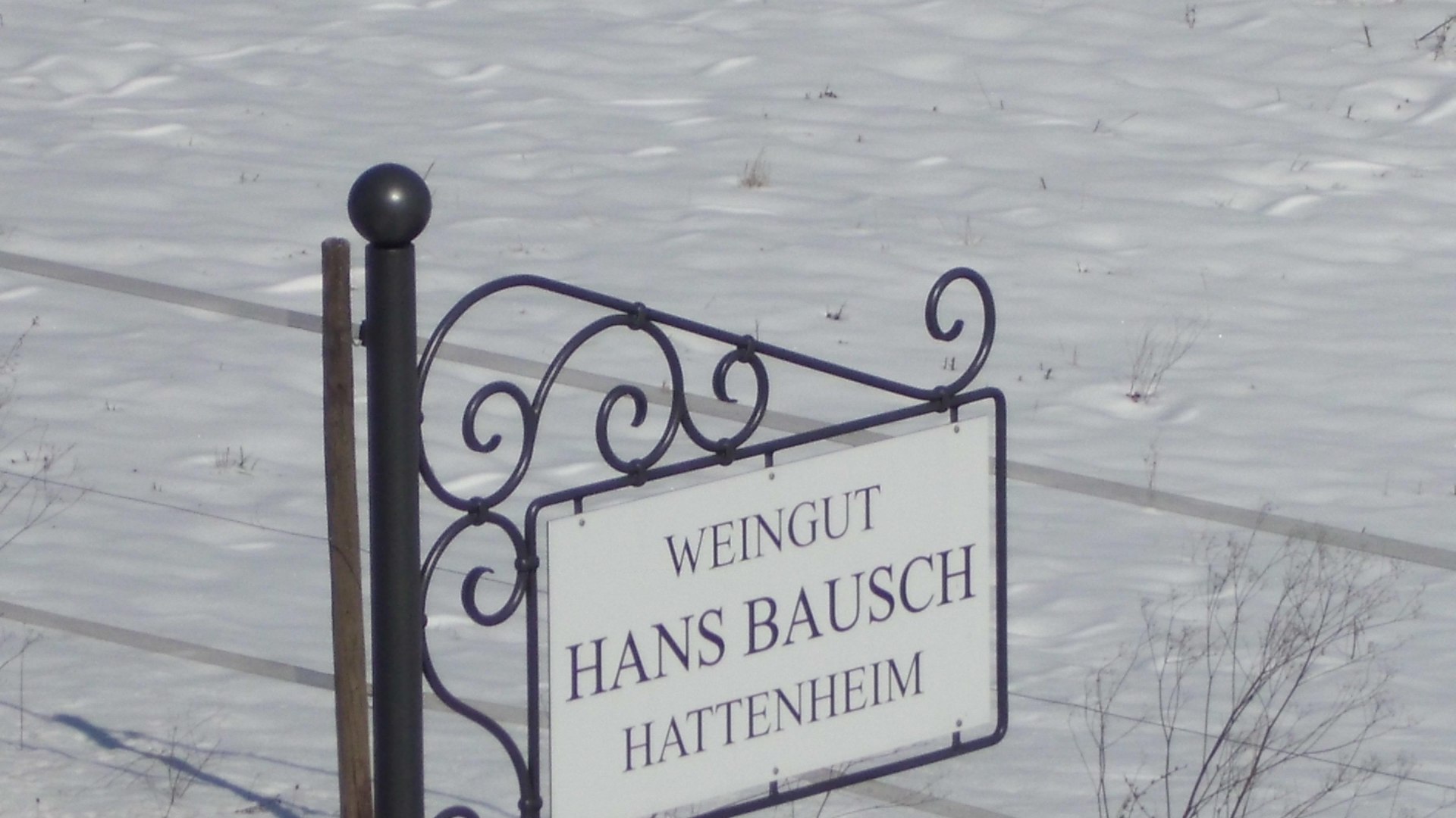 2013 M&auml;rz Winter in den Weinbergen  (2) | &copy; Weingut Hans Bausch