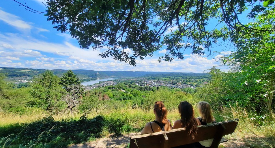 Sitzbank | © TI Erlebnis Rheinbogen Sitzbank | © TI Erlebnis Rheinbogen