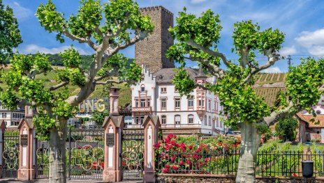 Boosenburg in R&uuml;desheim | &copy; R&uuml;desheim Tourist AG Marlis Steinmetz