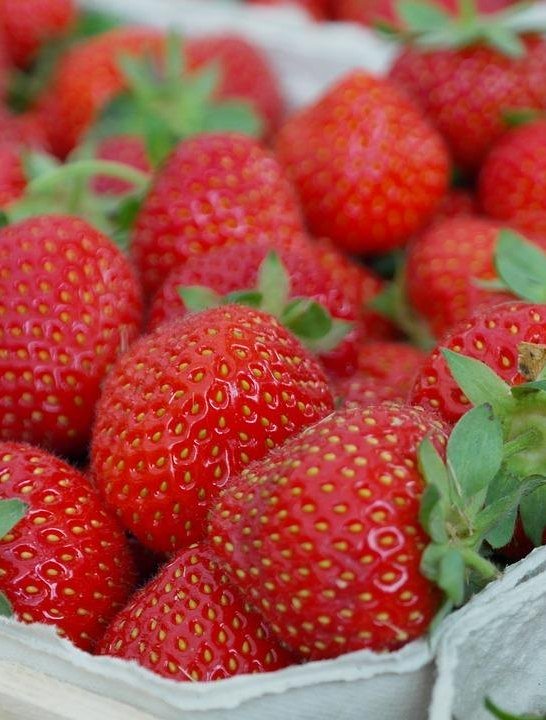 Erdbeeren | © Pixabay Erdbeeren | © Pixabay
