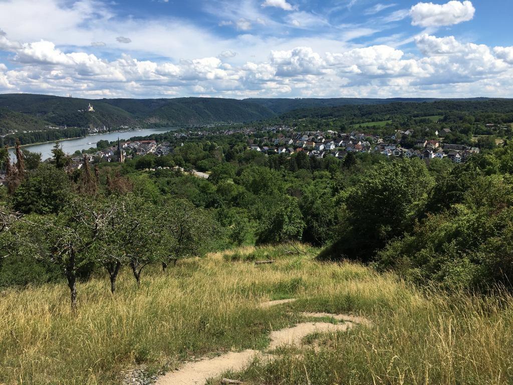 Weitblick | &copy; TI Erlebnis Rheinbogen