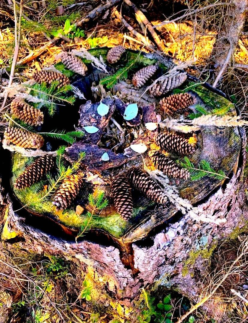 Ferienprojekt | © Mediathek Eltville Ferienprojekt | © Mediathek Eltville