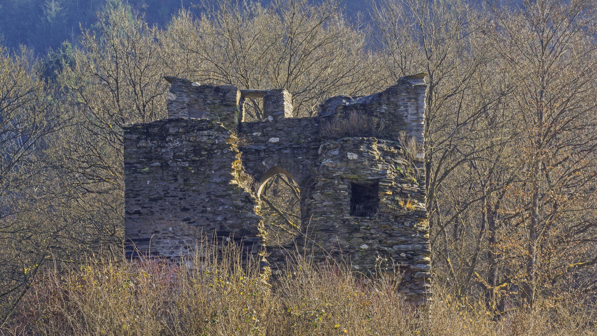 Lauksburg | © Friedrich Gier/Romantischer Rhein Tourismus GmbH Lauksburg | © Friedrich Gier/Romantischer Rhein Tourismus GmbH
