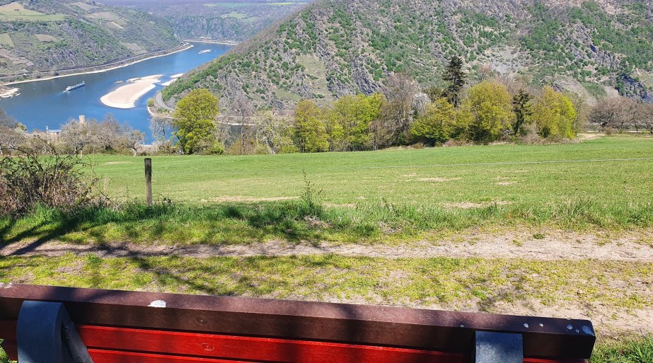 Ruhebank mit Rheinblick | © TI Hunsrück-Mittelrhein Ruhebank mit Rheinblick | © TI Hunsrück-Mittelrhein