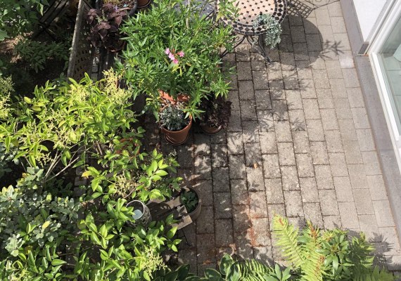 FeWo Garten b | &copy; Silke Beth